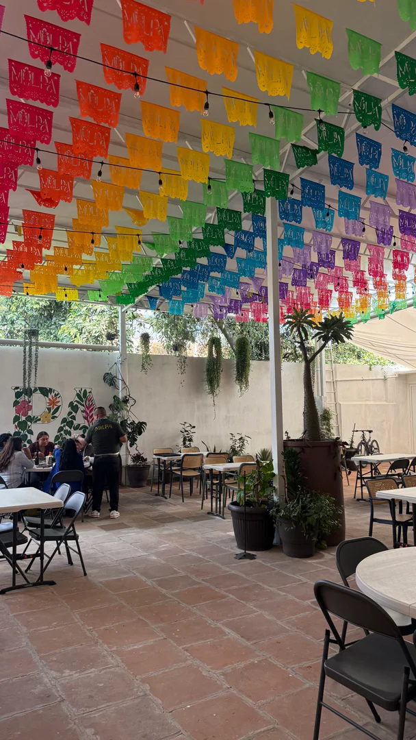 Milpa Botanero — foto 4, San Pedro Cholula, Puebla