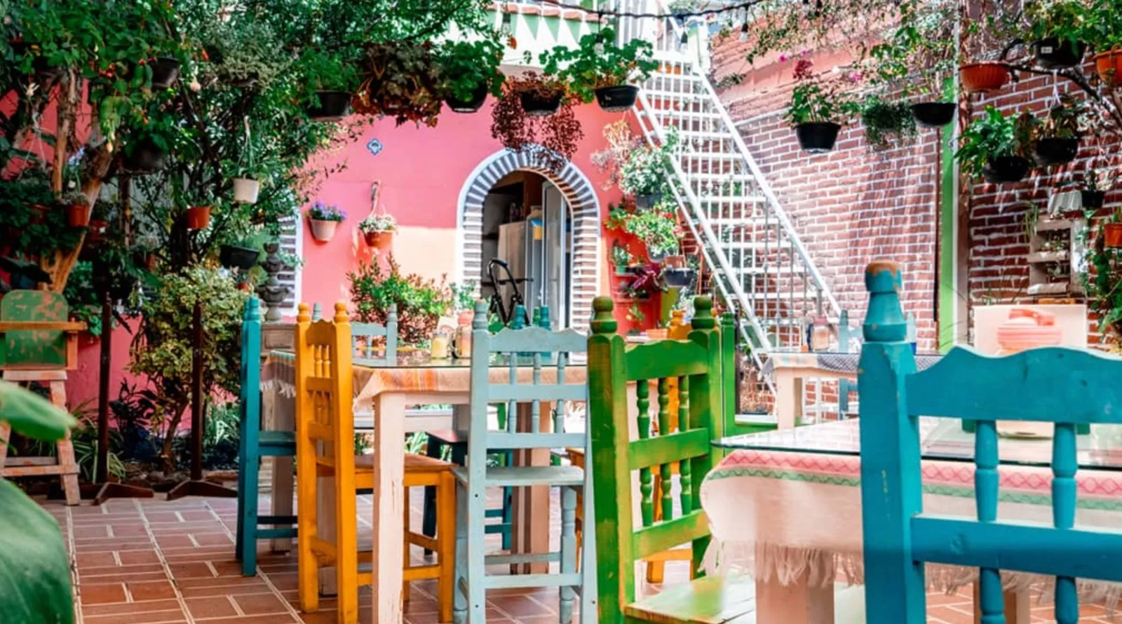 Las Macetitas — foto 1, San Pedro Cholula, Puebla